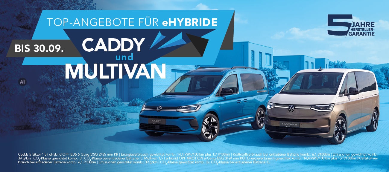 HD VW Nutzfahrzeuge eHybrid